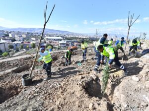 İzmir Büyükşehir Belediyesi, Bornova’da bin ağaçlık orman oluşturuyor
