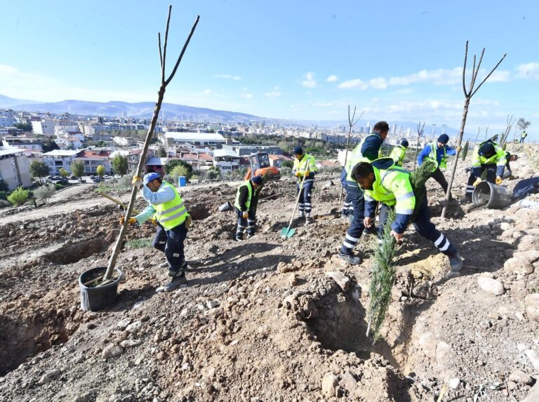 İzmir Büyükşehir Belediyesi, Bornova’da bin ağaçlık orman oluşturuyor – Yeni Haberler
