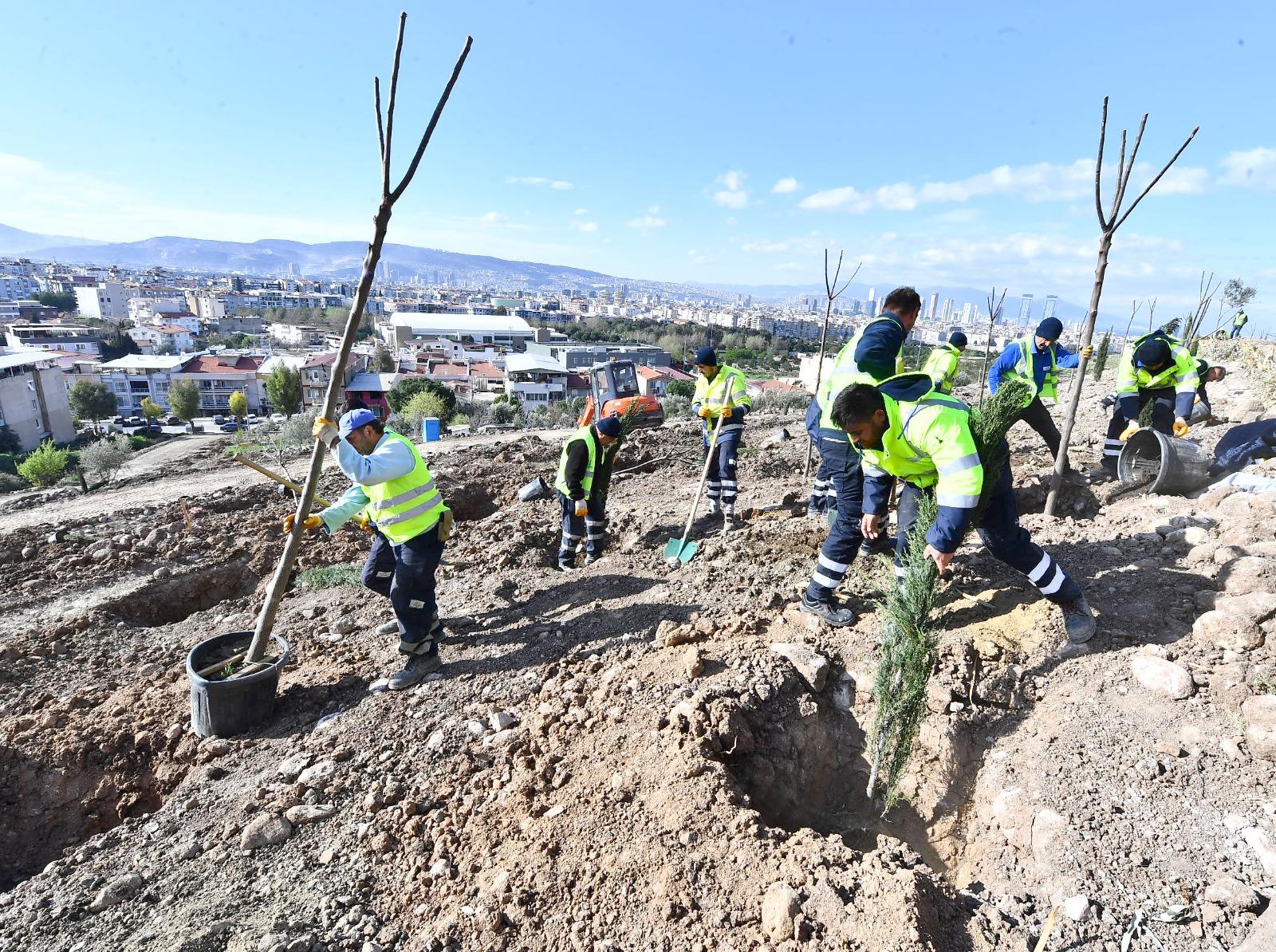 İzmir Büyükşehir Belediyesi, Bornova’da bin ağaçlık orman oluşturuyor