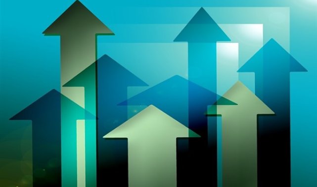 İnvestco'dan VERUS payı alımı