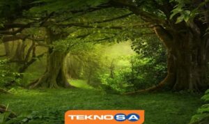 Teknosa, BIST Sürdürülebilirlik Endeksi’ne girdi – Bilim ve Teknoloji