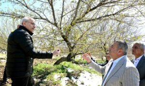 Başkan Er’den zirai don incelemesi – Yaşam