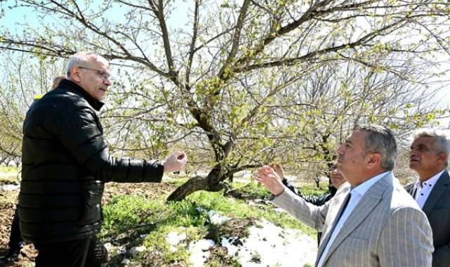 Başkan Er’den zirai don incelemesi – Yaşam