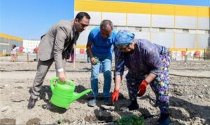 Bornova’da Kent Bostanları yaygınlaşıyor – Yaşam
