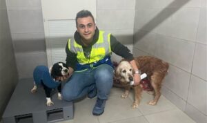 Bursa’da hayvan bakım ve rehabilitasyon merkezleri hizmetlerini sürdürüyor – Yaşam