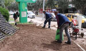 Haliliye Belediyesi, parklarda temizlik çalışmalarını sürdürüyor – Yaşam