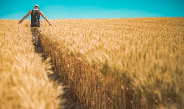 AgroTech AI faaliyete geçti – Ekonomi
