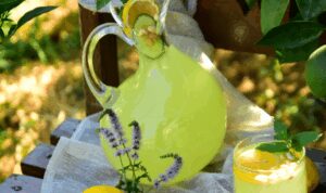 Alanya’da fıstıklı limonata hazırlayan işletmelere denetim yapılacak – Yaşam