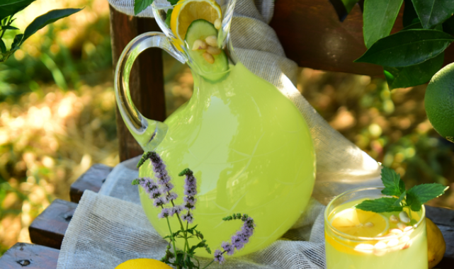 Alanya’da fıstıklı limonata hazırlayan işletmelere denetim yapılacak – Yaşam