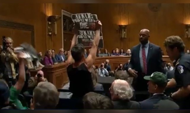 Ben&Jerry’s kurucu ortağı, Senato’da Gazze protestosu ardından tutuklandı – Dünya