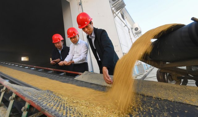 Çin’de satın alınan tahıl miktarı 345 milyon tona çıktı – Dünya