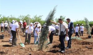 Diyarbakır’da 135 mavi servi fidanı toprakla buluştu – Yaşam