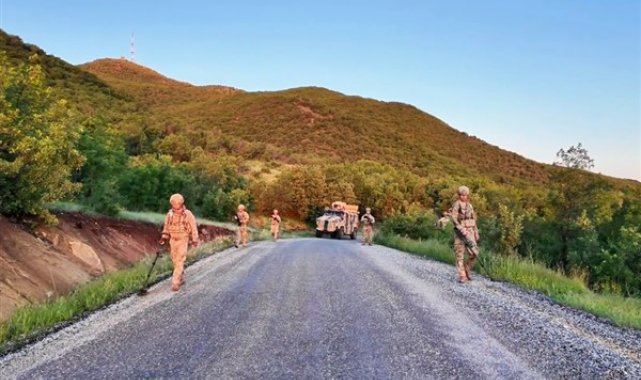 Diyarbakır’da 7 milyon 543 bin 818 kök kenevir ve skunk ele geçiridi – Gündem