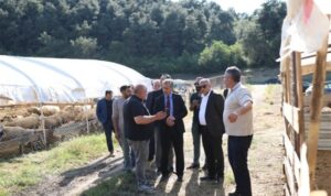 Gemlik Belediyesi Kurban Pazarı’nda satışlar başladı – Gündem
