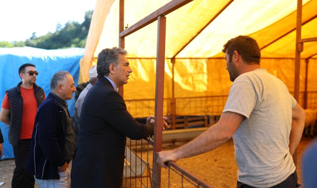 Gemlik Belediyesi kurban pazarında satışlar başladı – Yaşam