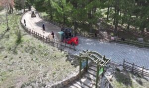 Gölcük Tabiat Parkı ve ulaşım yolları yeniden düzenleniyor – Gündem