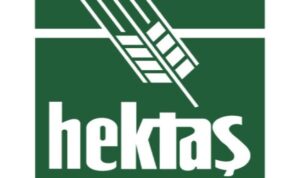 Hektaş'ın ilk 3 aylık rakamları