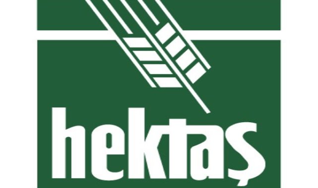 Hektaş'ın ilk 3 aylık rakamları