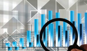 Investco'dan VERUS payı alımı