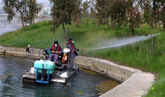 İstanbul’da sivrisinekle mücadelede önlemler artırıldı