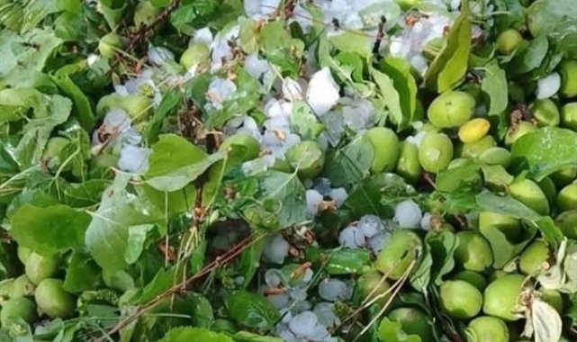 Kaymakam Yeşilyurt: dolu felaketinden 10 mahallemiz ciddi şekilde etkilendi – Yaşam