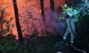Lazikiye kırsalındaki orman yangınına Hatay’dan destek – Yaşam