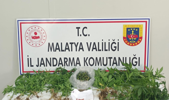 Malatya'da uyuşturucu operasyonu