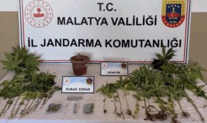 Malatya'da uyuşturucu operasyonu