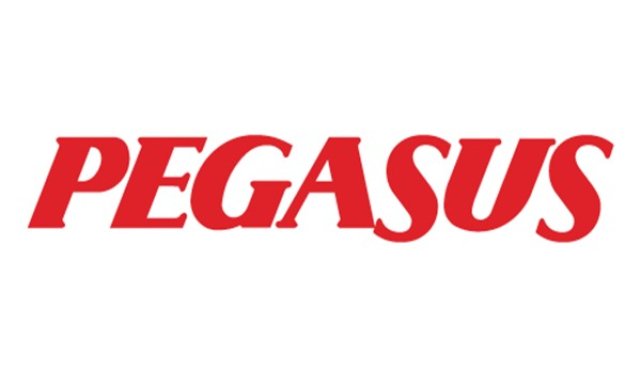 Pegasus'un 2025 yılı ilk çeyrek performansı