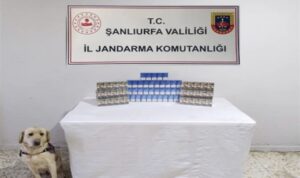 Şanlıurfa’da kaçakçılık operasyonu – Gündem