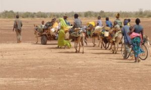 Sudan’ın Kuzey Darfur eyaletinde 3 haftada en az 542 sivil öldürüldü – Dünya