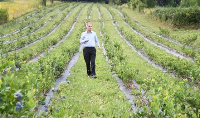 Taban’dan Dünya Çiftçiler Günü mesajı: Tarımda İnegöl modeli ile geleceğe yatırım – Gündem