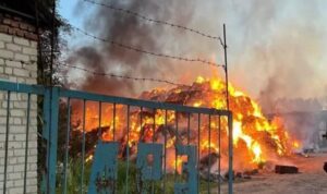 Ukrayna’nın Kursk bölgesindeki saldırısında 14 kişi yaşamını yitirdi – Dünya