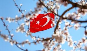 Valilerden 19 Mayıs mesajı – Gündem