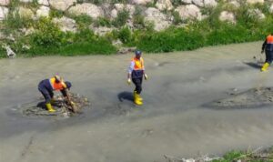 Van’da İnci Kefali’nin göç güzergahındaki dereler temizlendi – Yaşam