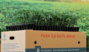 Yazlık fide dağıtımını, Silivri Değirmenköy’de başladı – Gündem